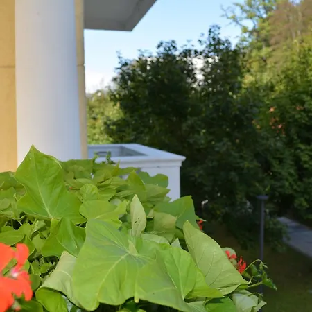 Slovenija 4* Rogaska Slatina