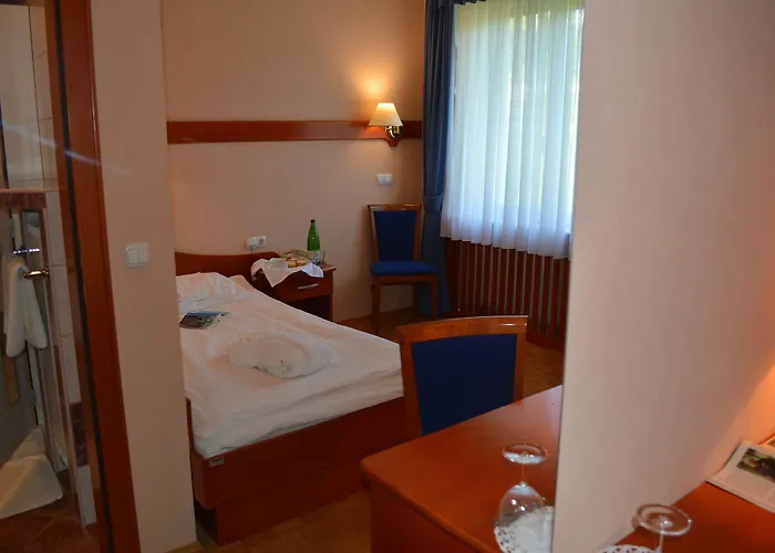 Slovenija Hotel Rogaška Slatina