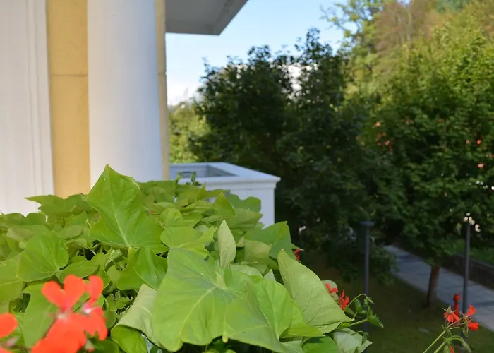 Slovenija 4* Рогашка Слатина